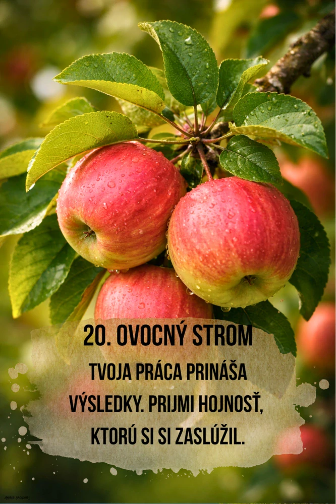 Slovanské karty múdrosti - autorské karty